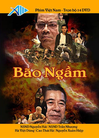 Bao Ngam - Tron Bo 14 DVDs - Phim Mien Nam