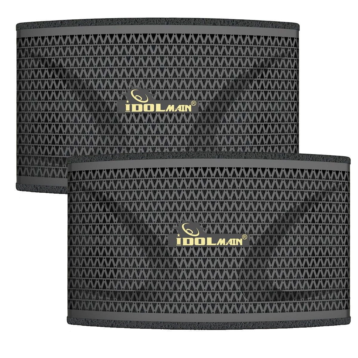 IDOLmain IPS-40 4000W 12" Full-Range Loudspeaker System With Bass Booster | Powerful, High-performance, Versatility Built for Professional or Home Use Model 2025