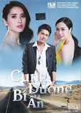 Cung Duong Bi An - Tron Bo 13 DVDs - Phim Mien Nam