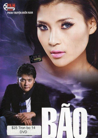 Bao - Tron Bo 14 DVDs - Phim Mien Nam