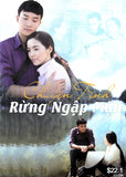 Chuyen Tinh Rung Ngap Man - Tron Bo 13 DVDs - Phim Mien Nam