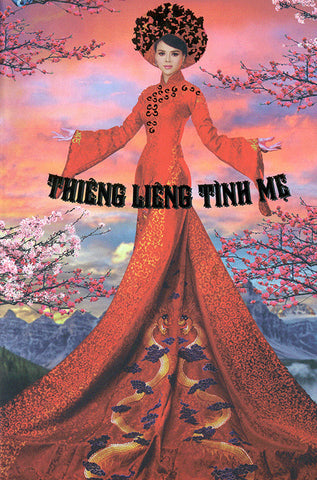 Live Show Bang Tam - Thieng Lieng Tinh Me - 2 DVDs