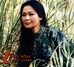 Tinh Thu Tren Cao - CD
