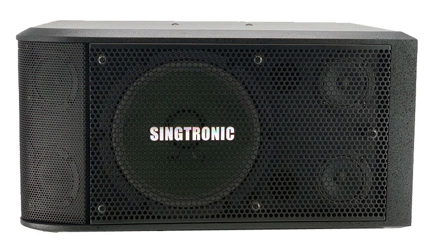 Singtronic KS-2000 Professional 3000W Vocalist Karaoke Speaker System (Pair) Newest: 2023 Super Tweeters & Double 10" Woofer